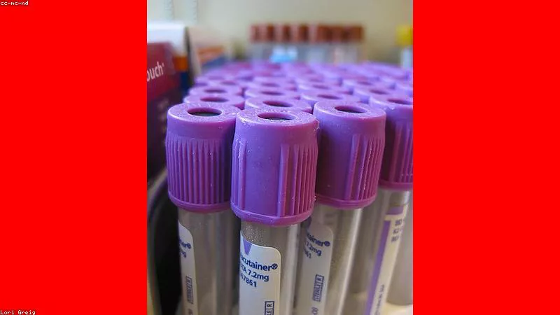 Phong Cách Sống Của Người Việt Qua Từng Vùng Miền